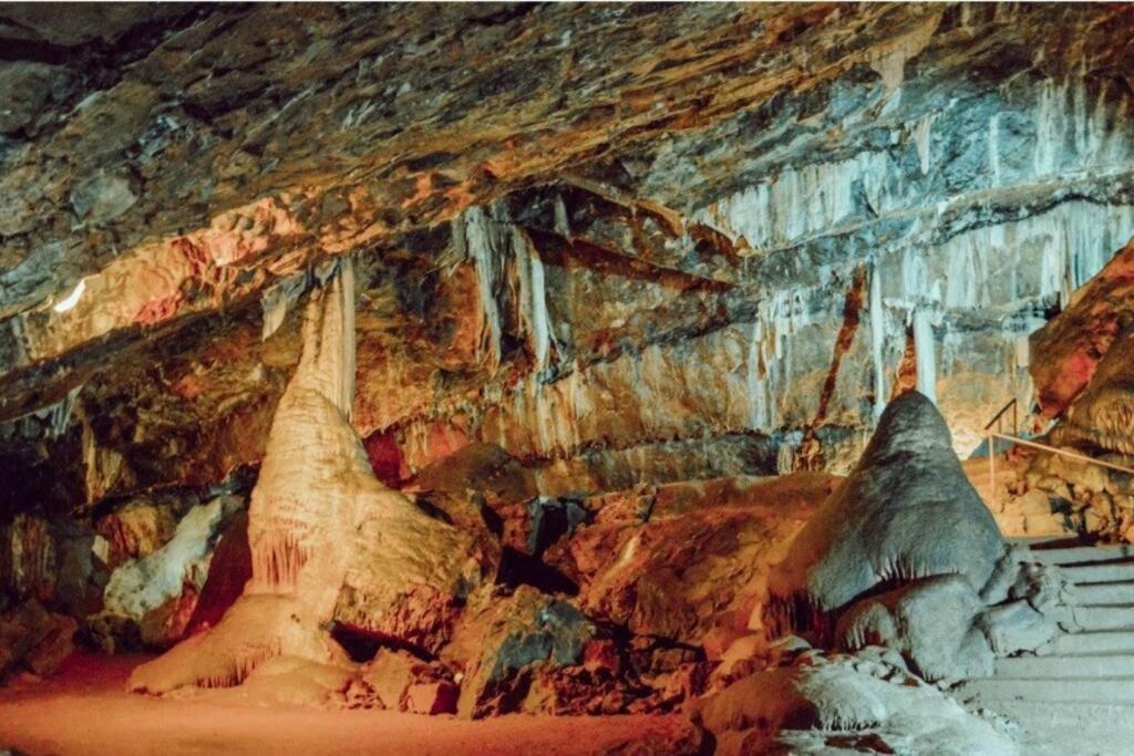 Kozy Kabin Waterford Zewnętrze zdjęcie